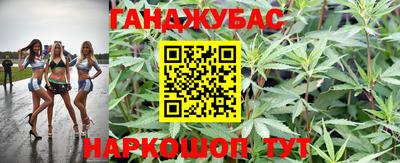 индика Янаул