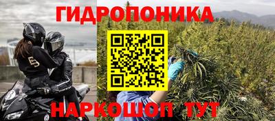 индика Янаул