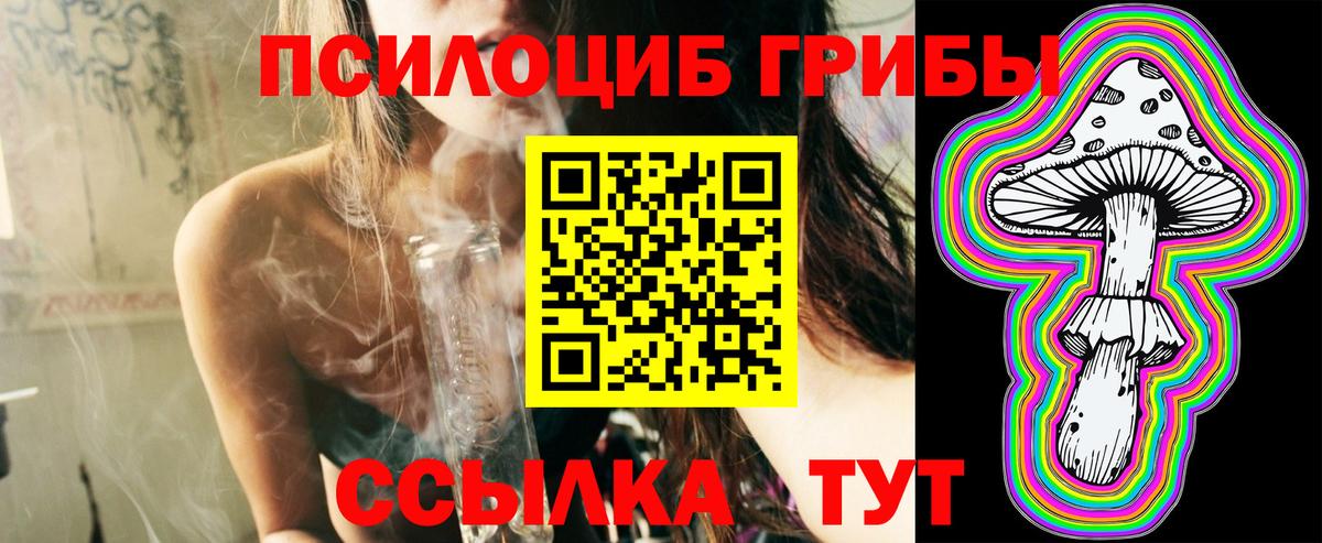 Ликино-Дулёво  Псилоцибиновые грибы MAGIC MUSHROOMS  Вход с VPN  Псилоцибиновые грибы прущие грибы 